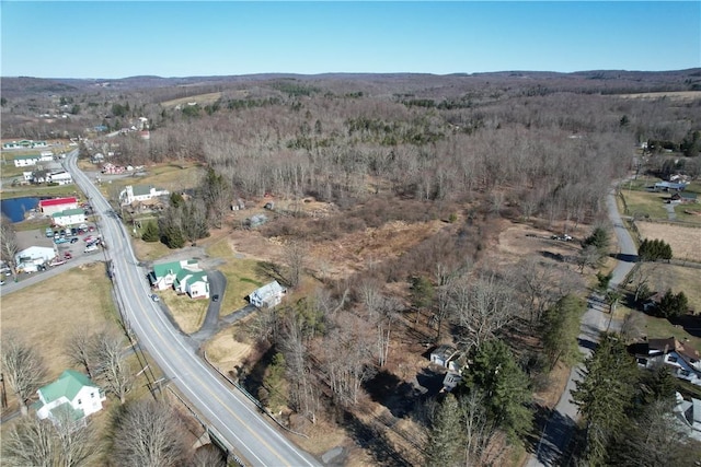 Listing photo 2 for Mineral Springs Rd, White Sulphur Spring NY 12787