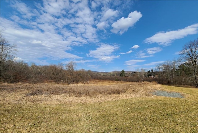 Listing photo 3 for Mineral Springs Rd, White Sulphur Spring NY 12787