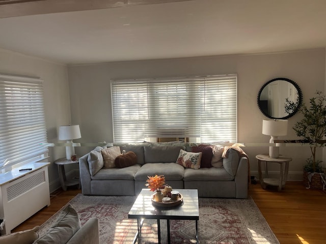 living room with a healthy amount of sunlight, hardwood / wood-style floors, and radiator heating unit