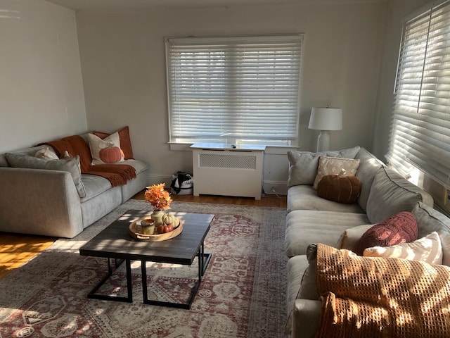 living room with light wood-type flooring and radiator heating unit