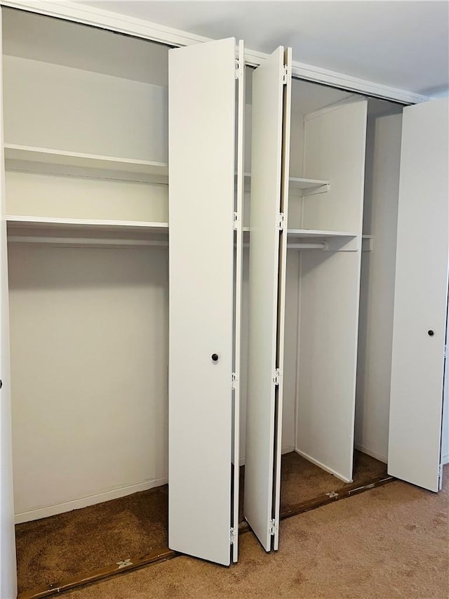 view of closet