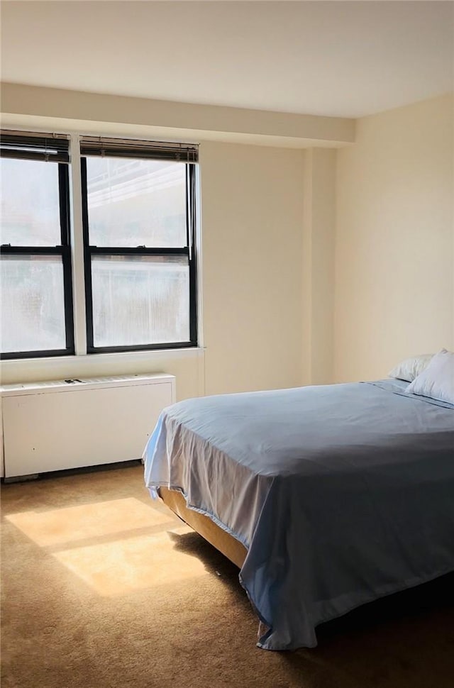 carpeted bedroom with multiple windows and radiator