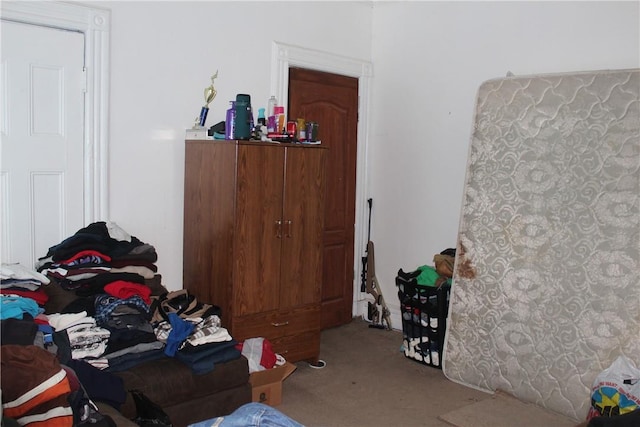 bedroom featuring carpet