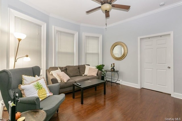 living room featuring dark hardwood / wood-style floors, ceiling fan, crown molding, and a baseboard radiator