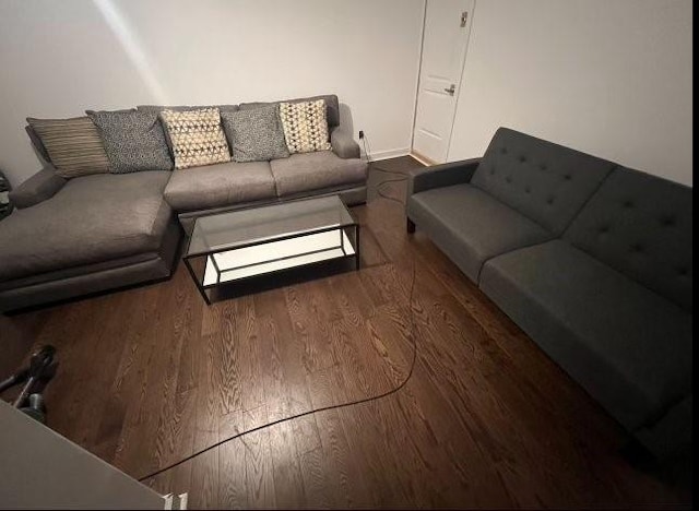 living room with wood-type flooring