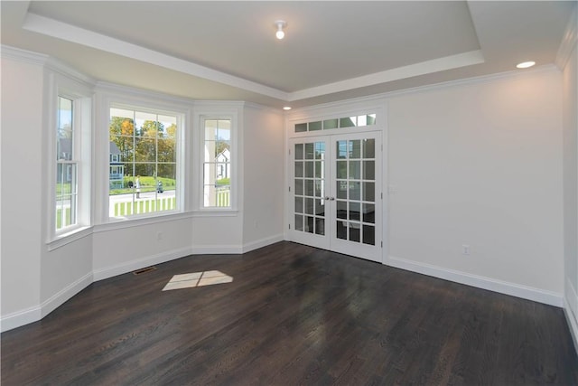 spare room with a raised ceiling, dark wood-type flooring, and french doors