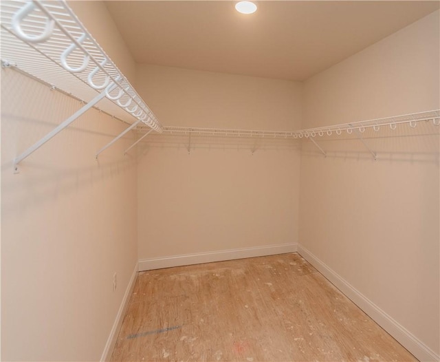 walk in closet featuring hardwood / wood-style flooring