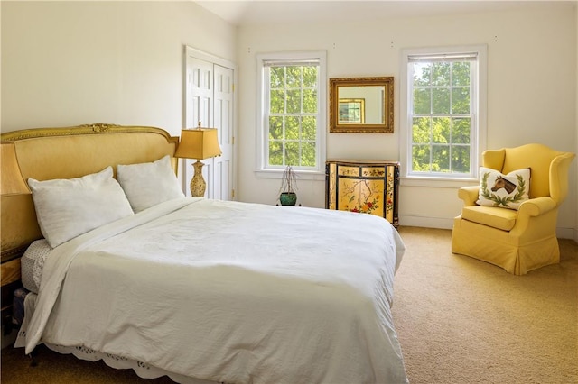 carpeted bedroom featuring multiple windows and a closet