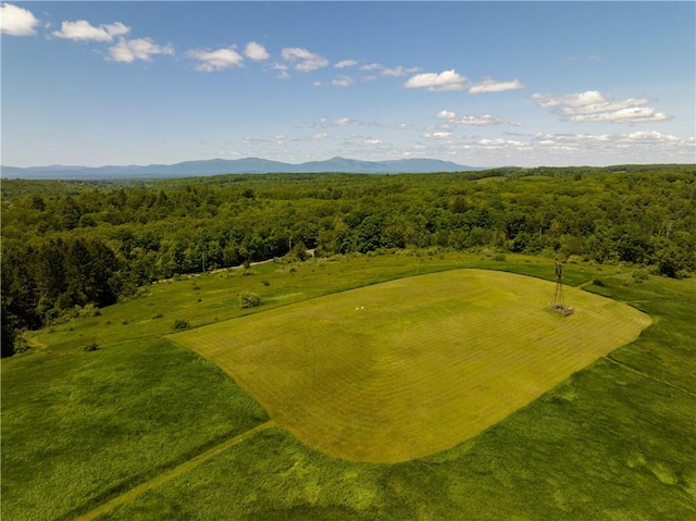 aerial view with a mountain view