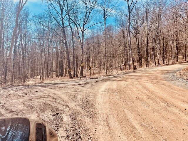 340 Sherman Hill Rd, Bainbridge, NY 13733 - view of road