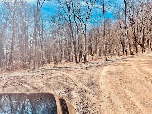 340 Sherman Hill Rd, Bainbridge, NY 13733 - view of street