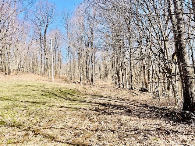 340 Sherman Hill Rd, Bainbridge, NY 13733 - view of nature