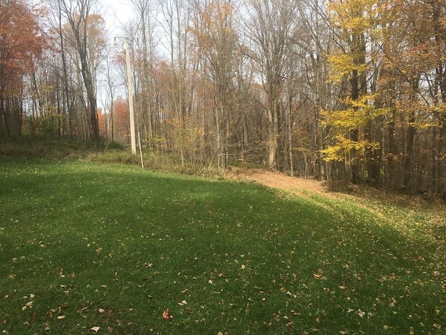 340 Sherman Hill Rd, Bainbridge, NY 13733 - view of yard
