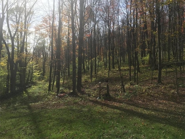 340 Sherman Hill Rd, Bainbridge, NY 13733 - view of nature