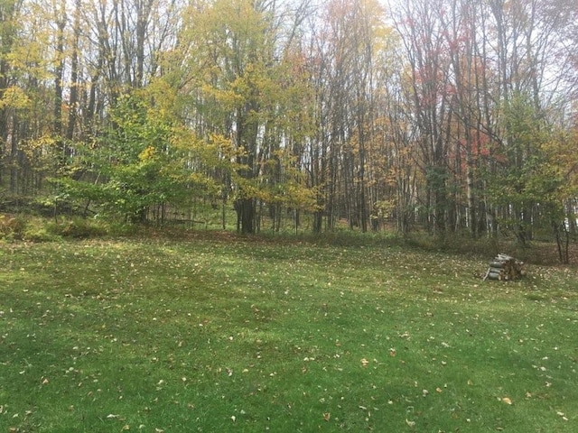 340 Sherman Hill Rd, Bainbridge, NY 13733 - view of yard