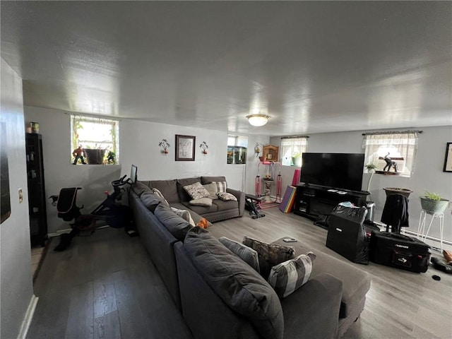 living room with hardwood / wood-style floors