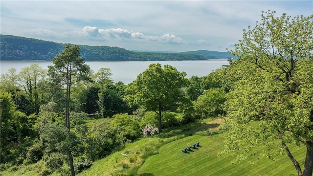 drone / aerial view featuring a water view