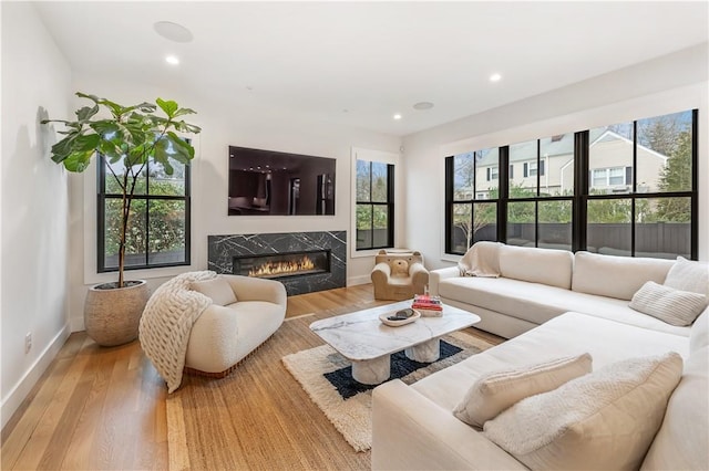 living room featuring light hardwood / wood-style floors, a wealth of natural light, and a premium fireplace