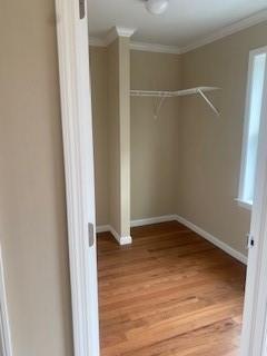 spacious closet with hardwood / wood-style flooring