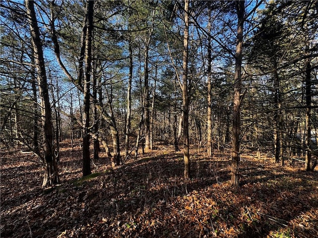 LOT30 Mountain View Dr, Elizaville NY, 12523 land for sale