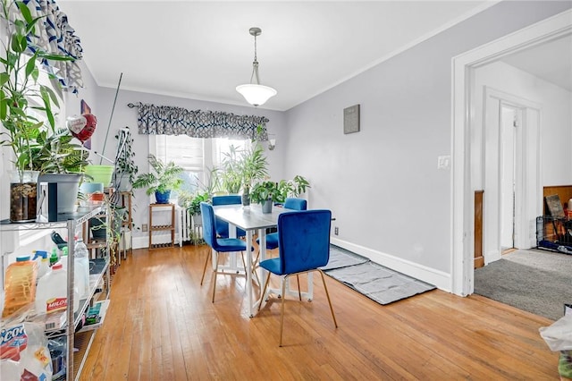 dining room featuring hardwood / wood-style flooring and crown molding