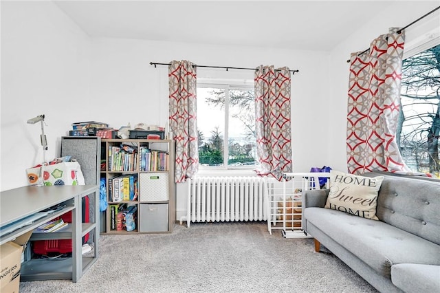 interior space with a crib and radiator