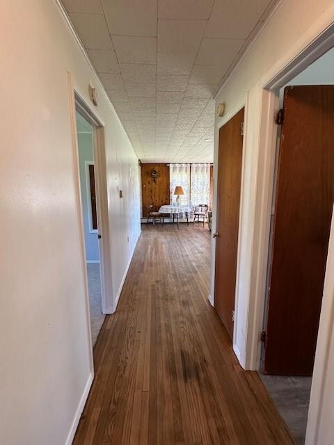 corridor featuring dark hardwood / wood-style flooring and crown molding