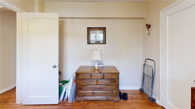 room details with hardwood / wood-style floors