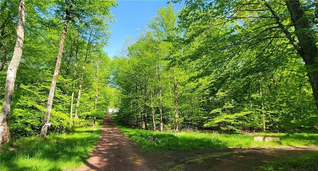 view of local wilderness