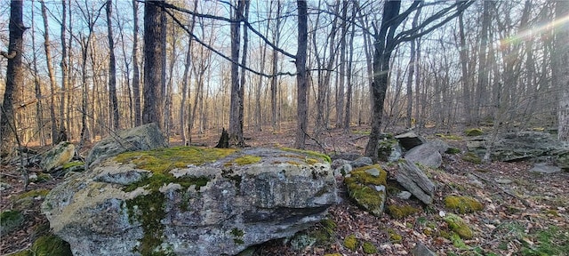 view of landscape