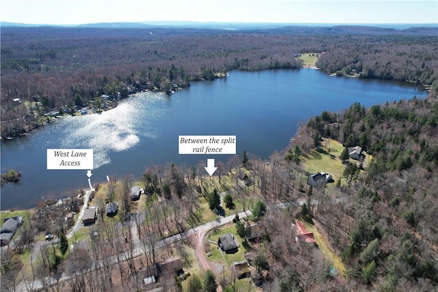 27 Birch Ln, Livingston Manor, NY 12768 - aerial view of property and surrounding area with a heavily wooded area and a nearby body of water