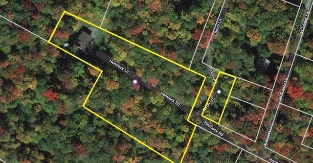27 Birch Ln, Livingston Manor, NY 12768 - map of property location with property parcel outlined