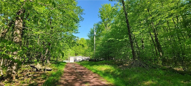 27 Birch Ln, Livingston Manor, NY 12768 - view of dirt / gravel driveway featuring a view of trees