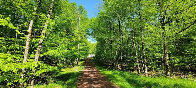 27 Birch Ln, Livingston Manor, NY 12768 - view of wooded area