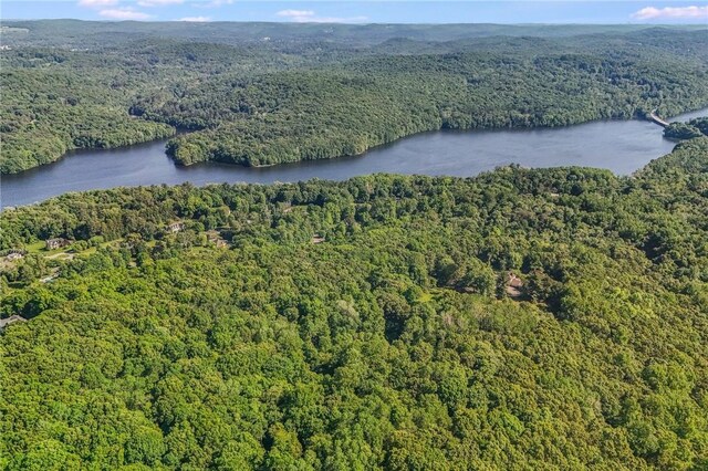 3 Rte 100, Katonah, NY 10536 - photo 1
