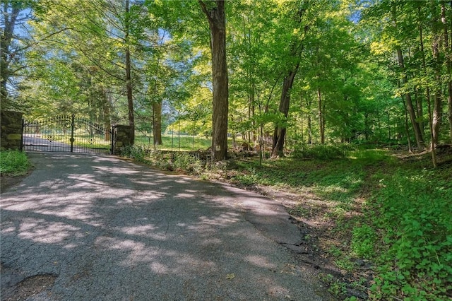 3 Rte 100, Katonah, NY 10536 - photo 2
