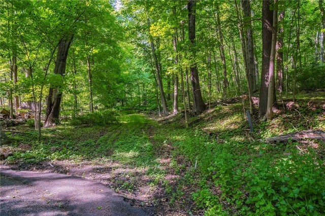 3 Rte 100, Katonah, NY 10536 - photo 3