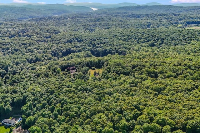3 Rte 100, Katonah, NY 10536 - photo 4