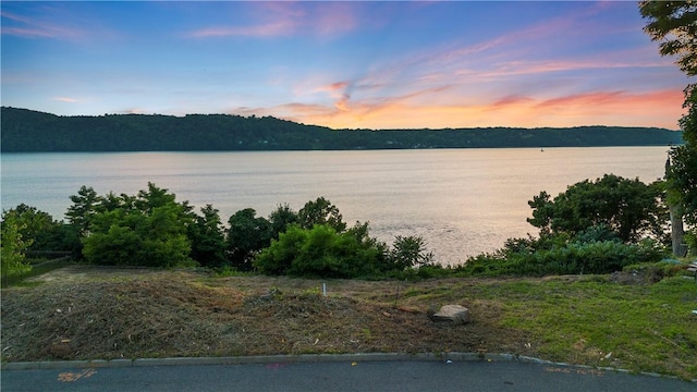 11 Fairlawn Ave, Dobbs Ferry, NY 10522 - photo 9