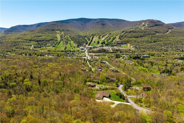 birds eye view of property featuring a mountain view