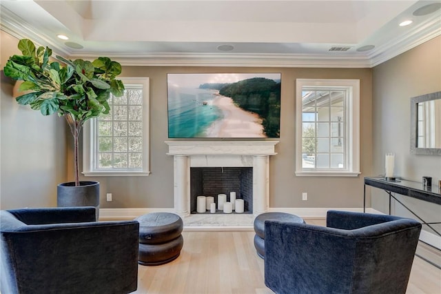 living area featuring a raised ceiling, a fireplace, wood-type flooring, and ornamental molding