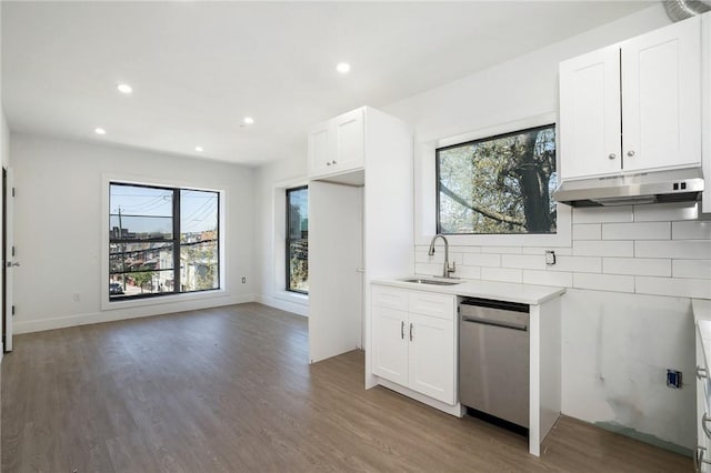 kitchen with white cabinets, decorative backsplash, stainless steel dishwasher, and sink