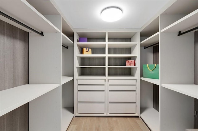 41 Richmondville Ave Unit 306, Call Listing Agent, CT 06880 - spacious closet with light wood-style flooring