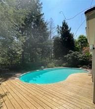 view of pool featuring a wooden deck