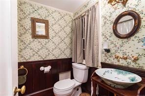 bathroom featuring vanity, toilet, and wooden walls