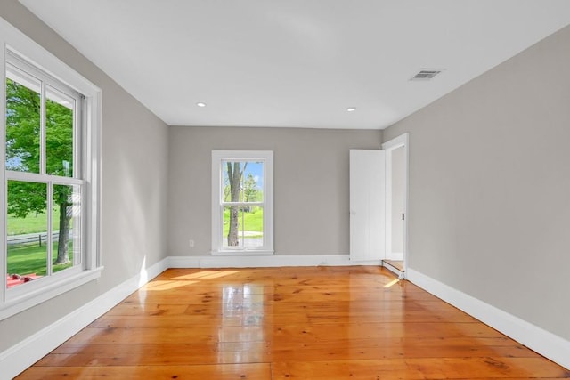 spare room featuring light wood-type flooring and plenty of natural light