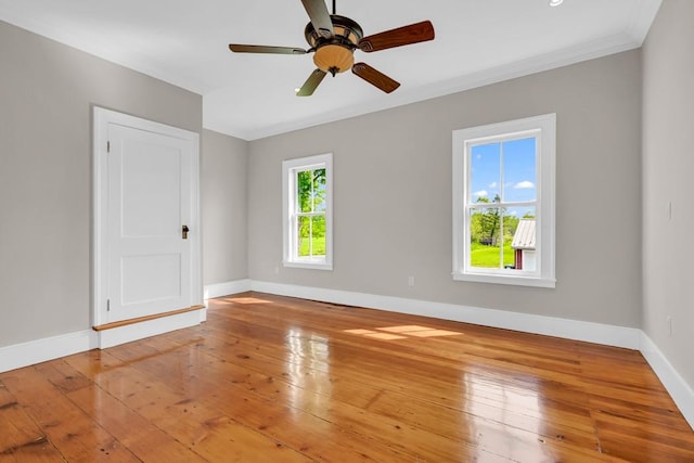 spare room with wood-type flooring, ceiling fan, and crown molding