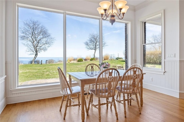 dining room featuring light hardwood / wood-style floors, a water view, a healthy amount of sunlight, and an inviting chandelier