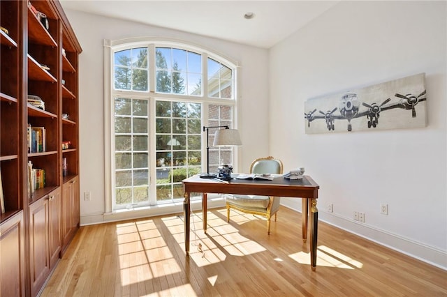 office space featuring light hardwood / wood-style flooring and a healthy amount of sunlight