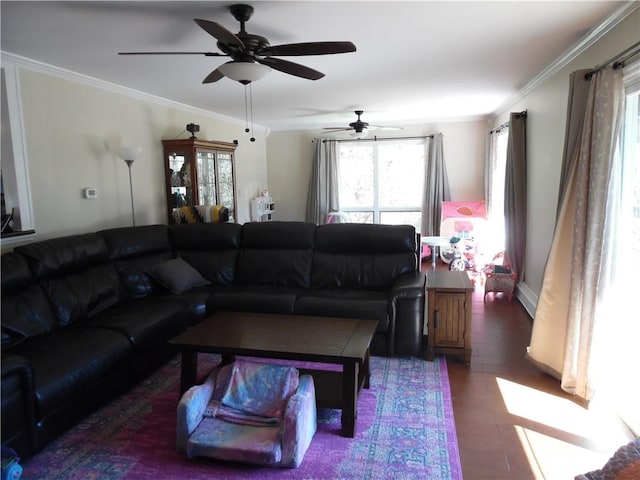 living room with ceiling fan and crown molding